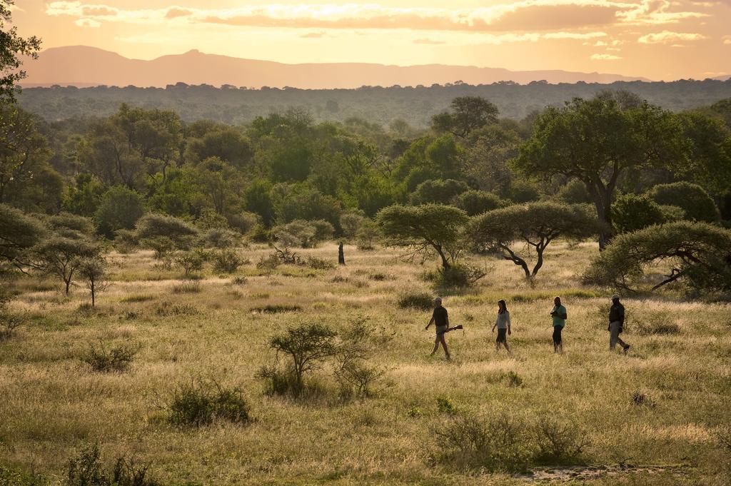 Lion Sands River Lodge Riserva di Sabi Sand Esterno foto