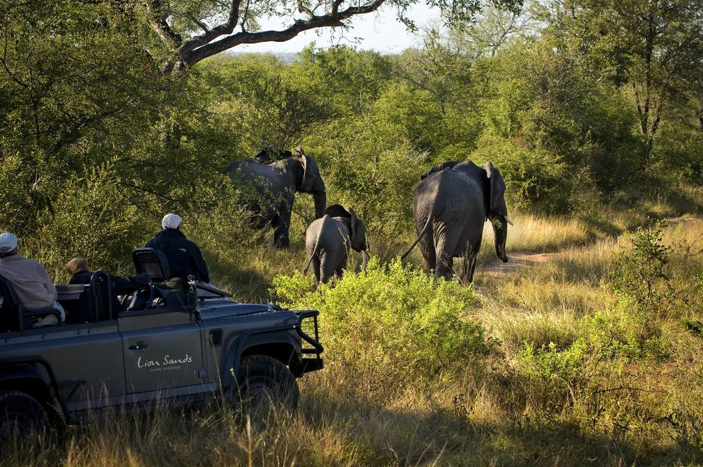 Lion Sands River Lodge Riserva di Sabi Sand Esterno foto